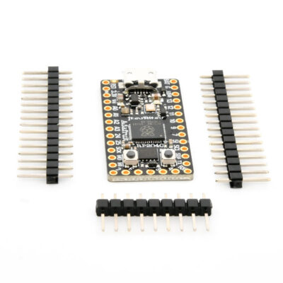 ItsyBitsy RP2040 met headers